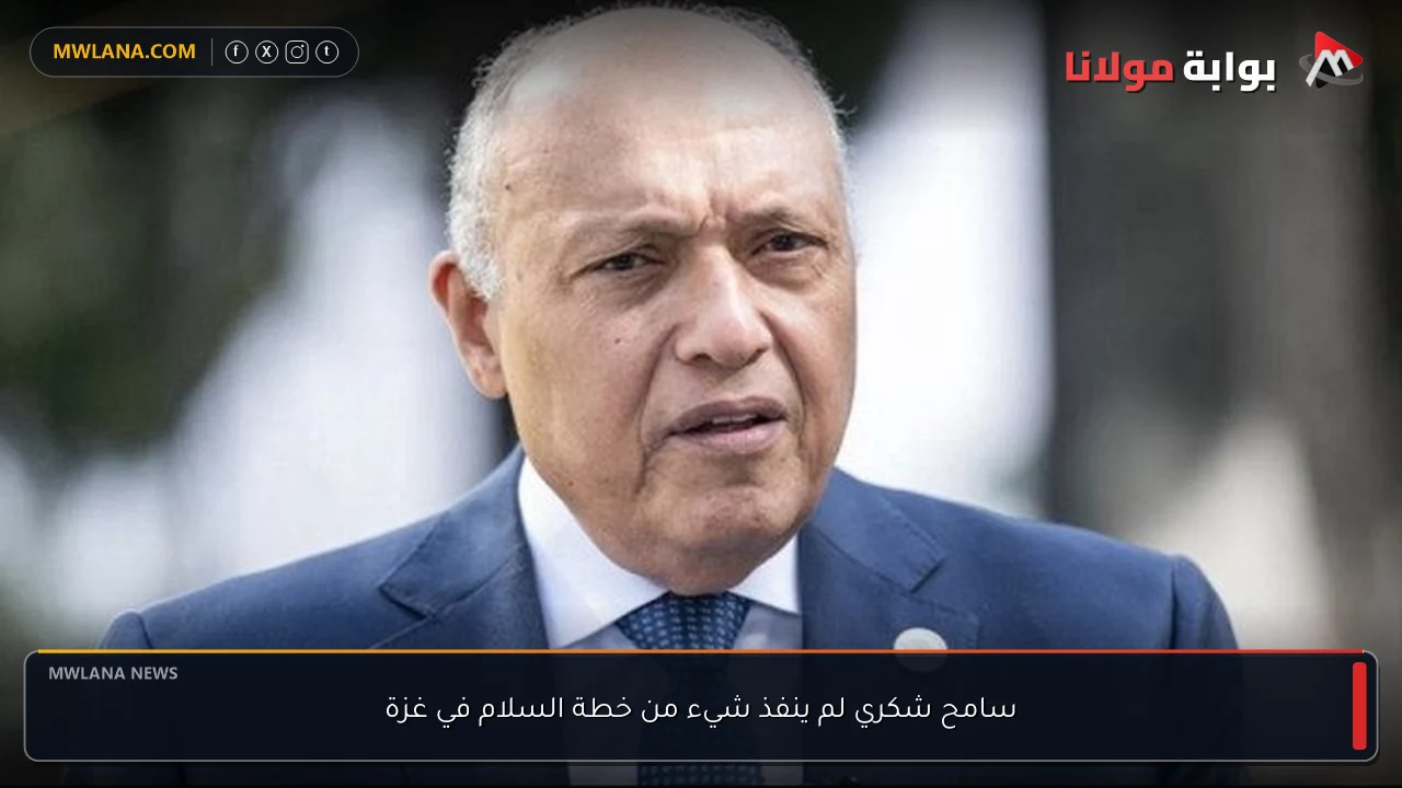 سامح شكري لم ينفذ شيء من خطة السلام في غزة