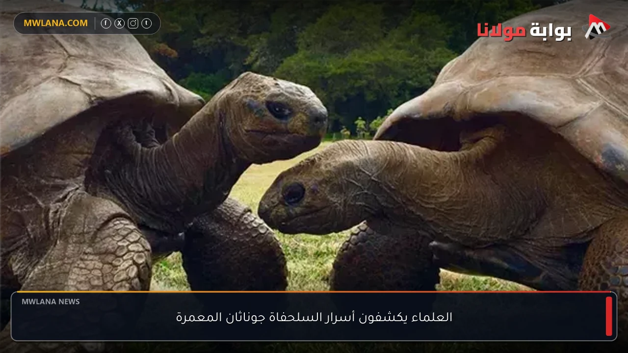 العلماء يكشفون أسرار السلحفاة جوناثان المعمرة