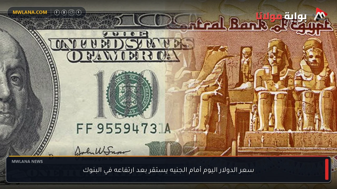 سعر الدولار اليوم أمام الجنيه يستقر بعد ارتفاعه في البنوك