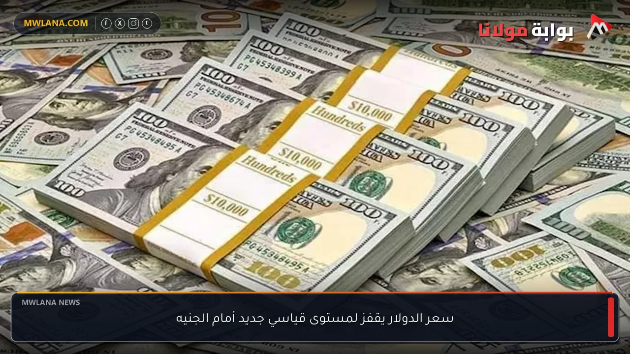 سعر الدولار يقفز لمستوى قياسي جديد أمام الجنيه