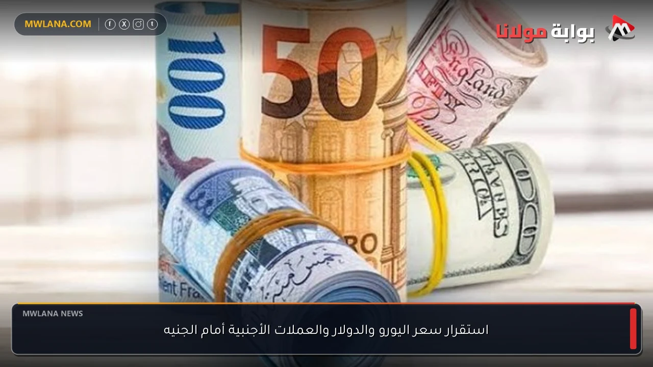 استقرار سعر اليورو والدولار والعملات الأجنبية أمام الجنيه