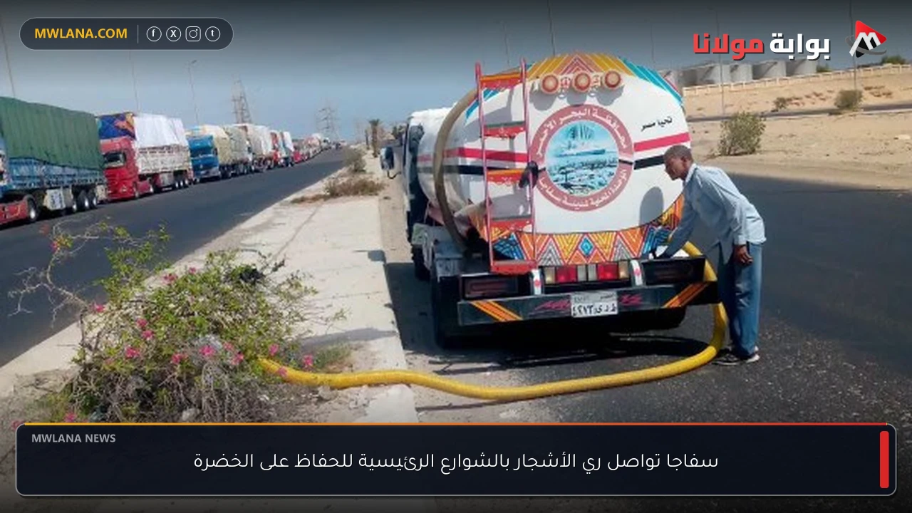 سفاجا تواصل ري الأشجار بالشوارع الرئيسية للحفاظ على الخضرة