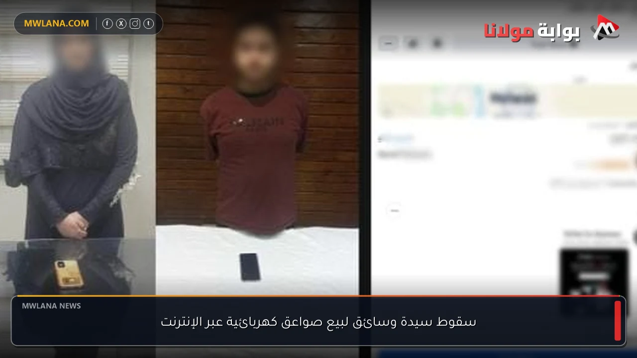 سقوط سيدة وسائق لبيع صواعق كهربائية عبر الإنترنت