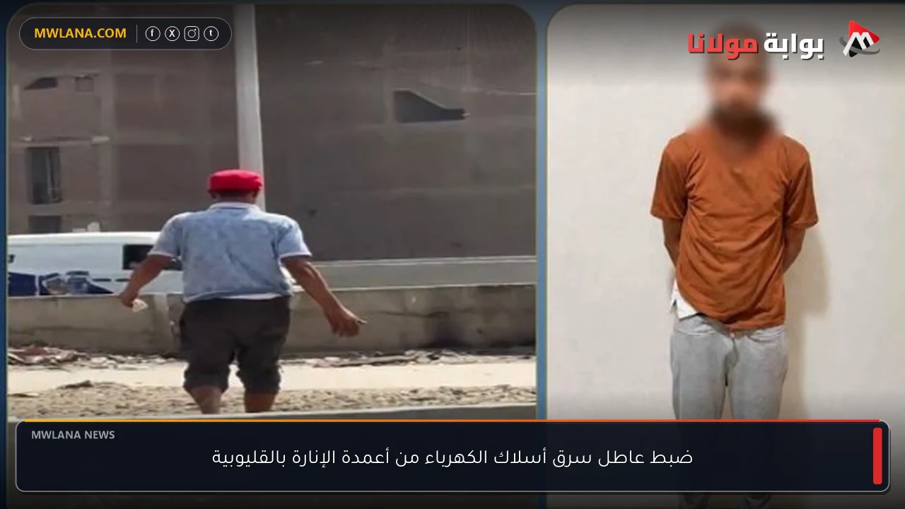 ضبط عاطل سرق أسلاك الكهرباء من أعمدة الإنارة بالقليوبية