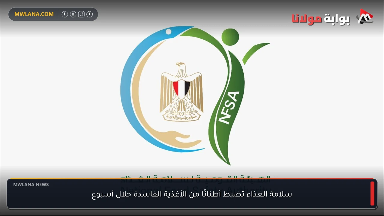 سلامة الغذاء تضبط أطنانًا من الأغذية الفاسدة خلال أسبوع
