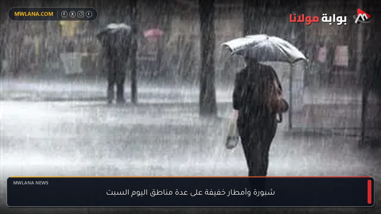 شبورة وأمطار خفيفة على عدة مناطق اليوم السبت