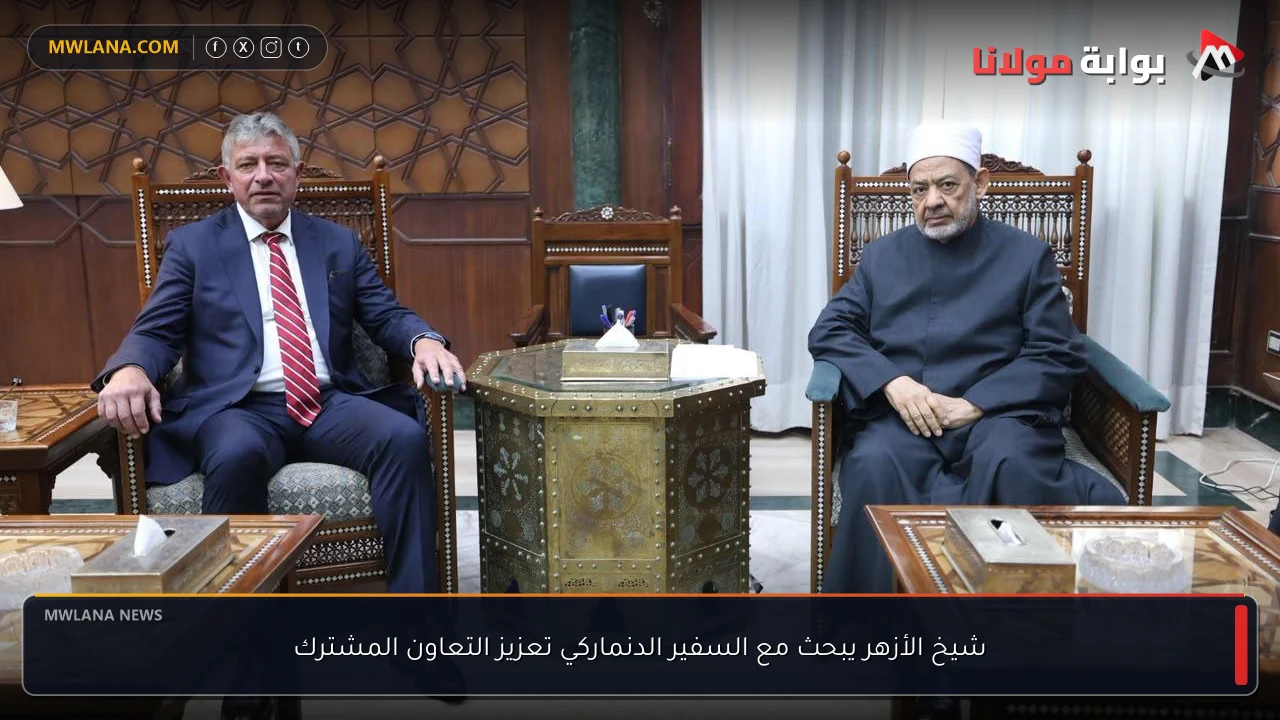 شيخ الأزهر يبحث مع السفير الدنماركي تعزيز التعاون المشترك
