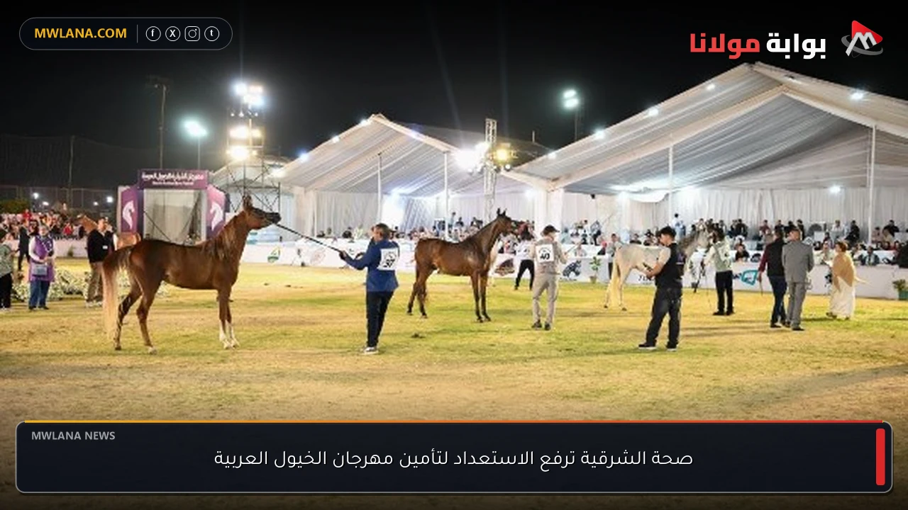 صحة الشرقية ترفع الاستعداد لتأمين مهرجان الخيول العربية