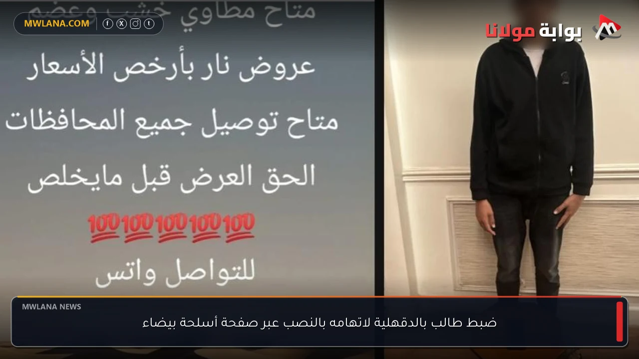 ضبط طالب بالدقهلية لاتهامه بالنصب عبر صفحة أسلحة بيضاء