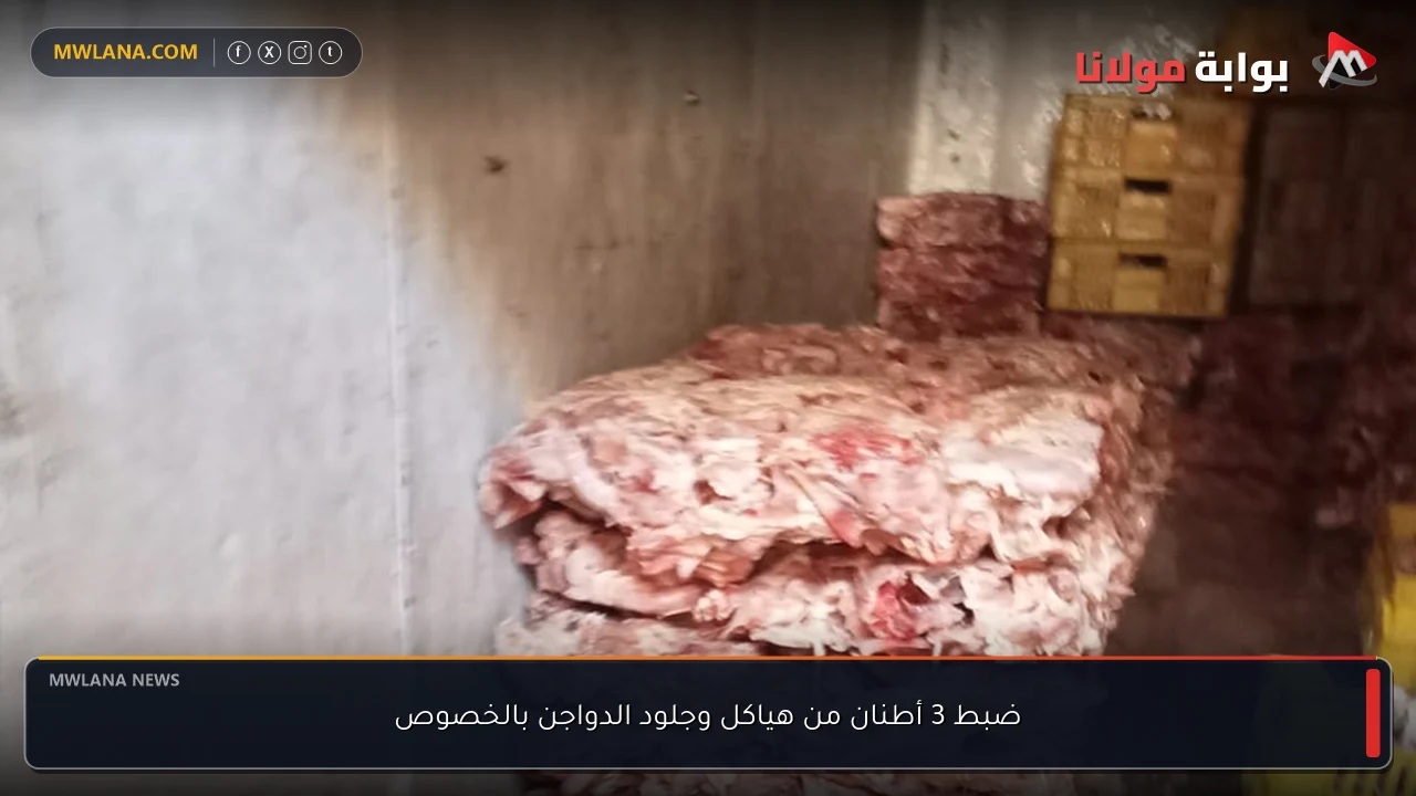 ضبط 3 أطنان من هياكل وجلود الدواجن بالخصوص