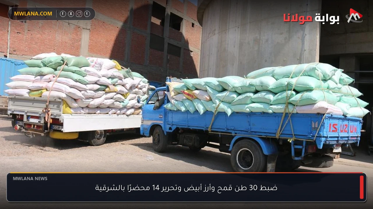 ضبط 30 طن قمح وأرز أبيض وتحرير 14 محضرًا بالشرقية