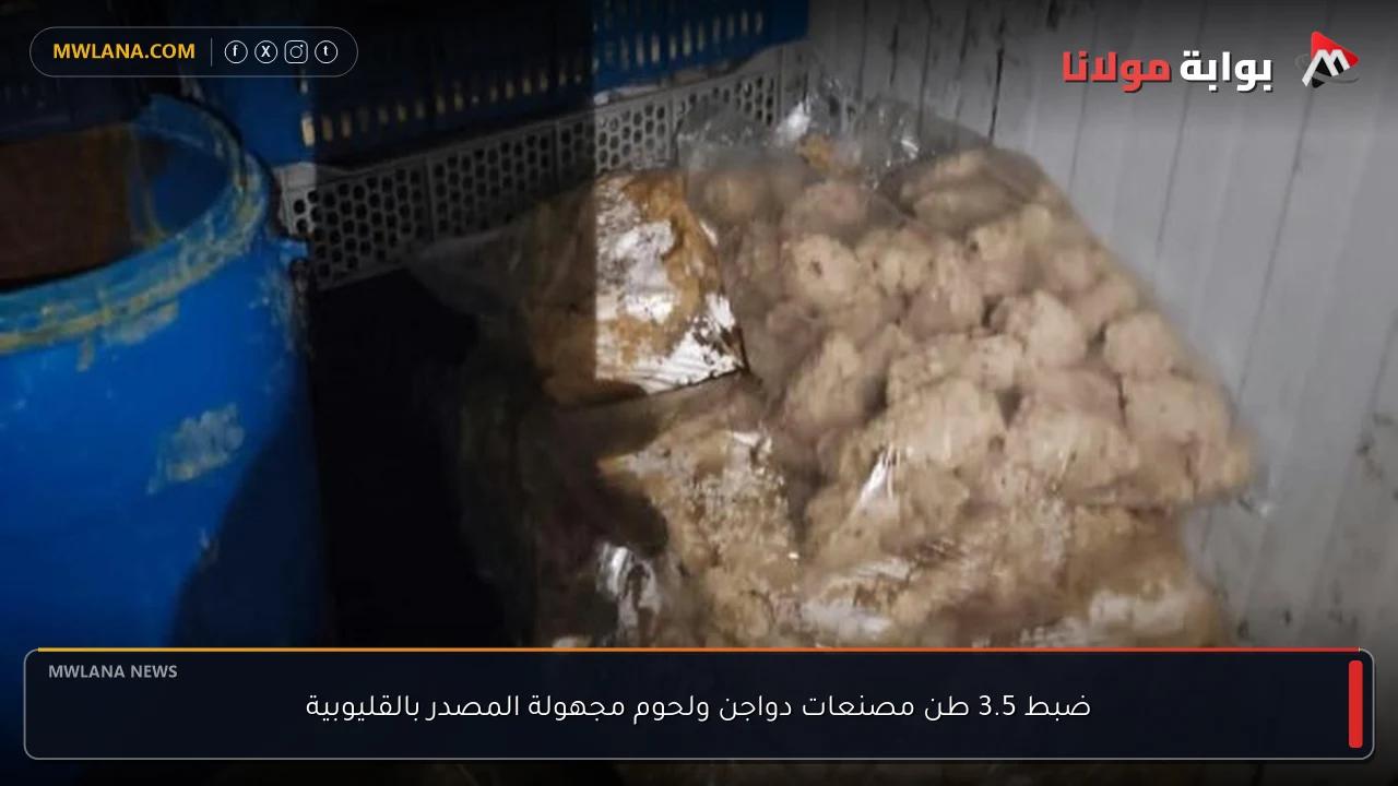 ضبط 3.5 طن مصنعات دواجن ولحوم مجهولة المصدر بالقليوبية