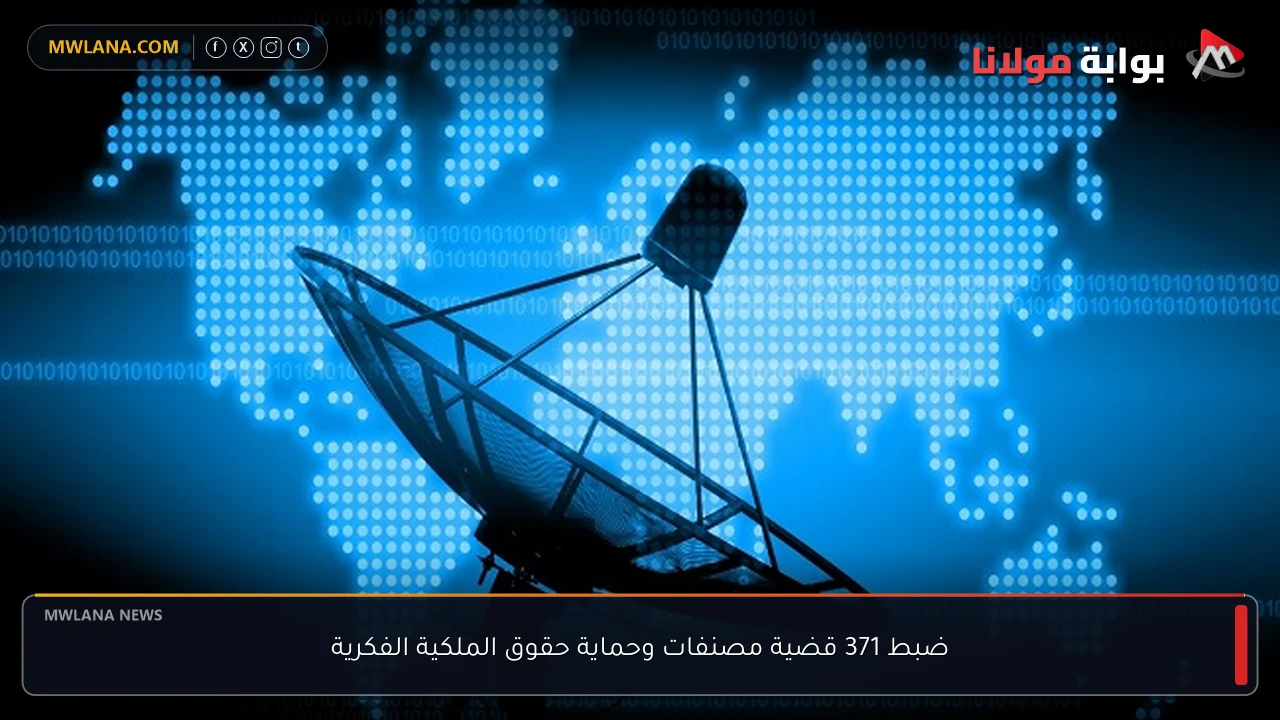 ضبط 371 قضية مصنفات وحماية حقوق الملكية الفكرية