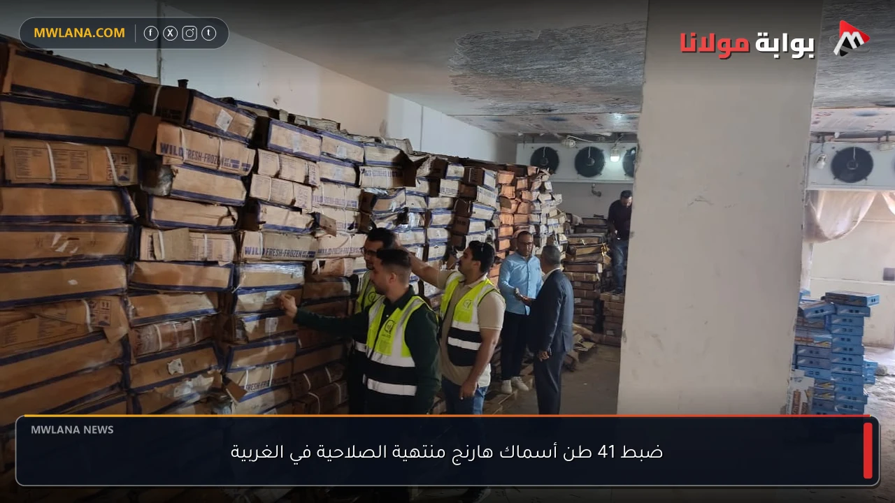 ضبط 41 طن أسماك هارنج منتهية الصلاحية في الغربية