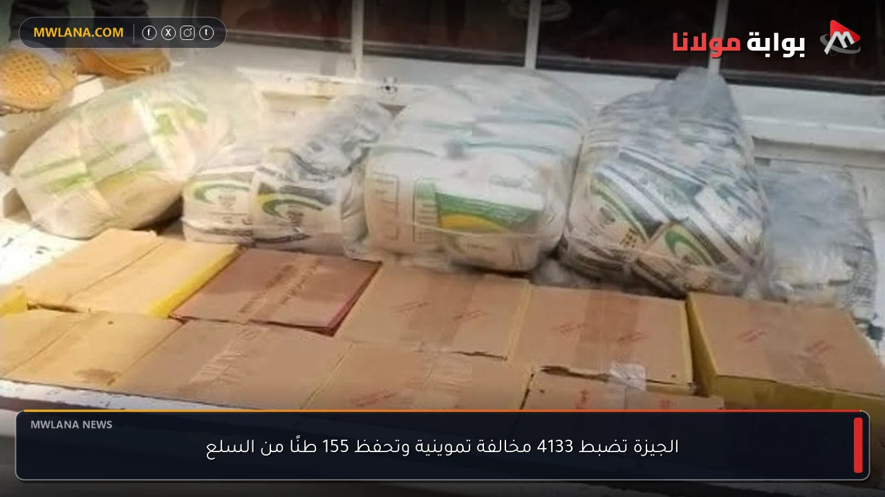 الجيزة تضبط 4133 مخالفة تموينية وتحفظ 155 طنًا من السلع