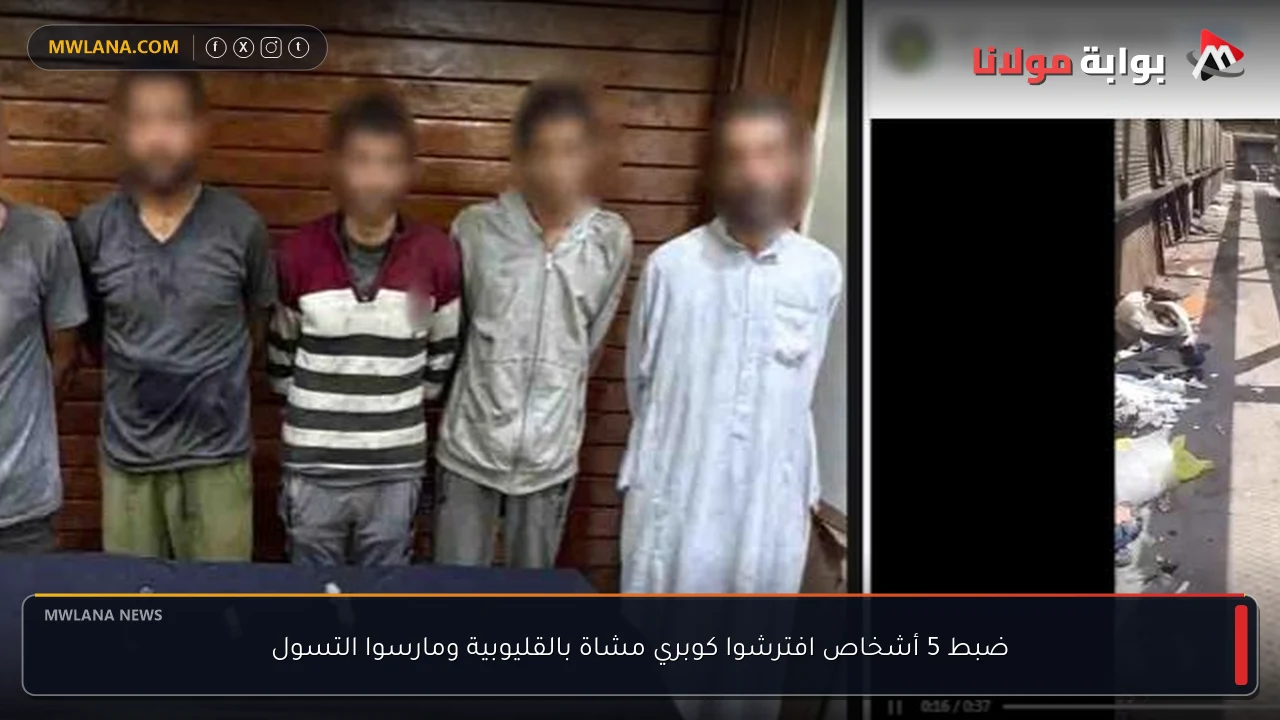 ضبط 5 أشخاص افترشوا كوبري مشاة بالقليوبية ومارسوا التسول