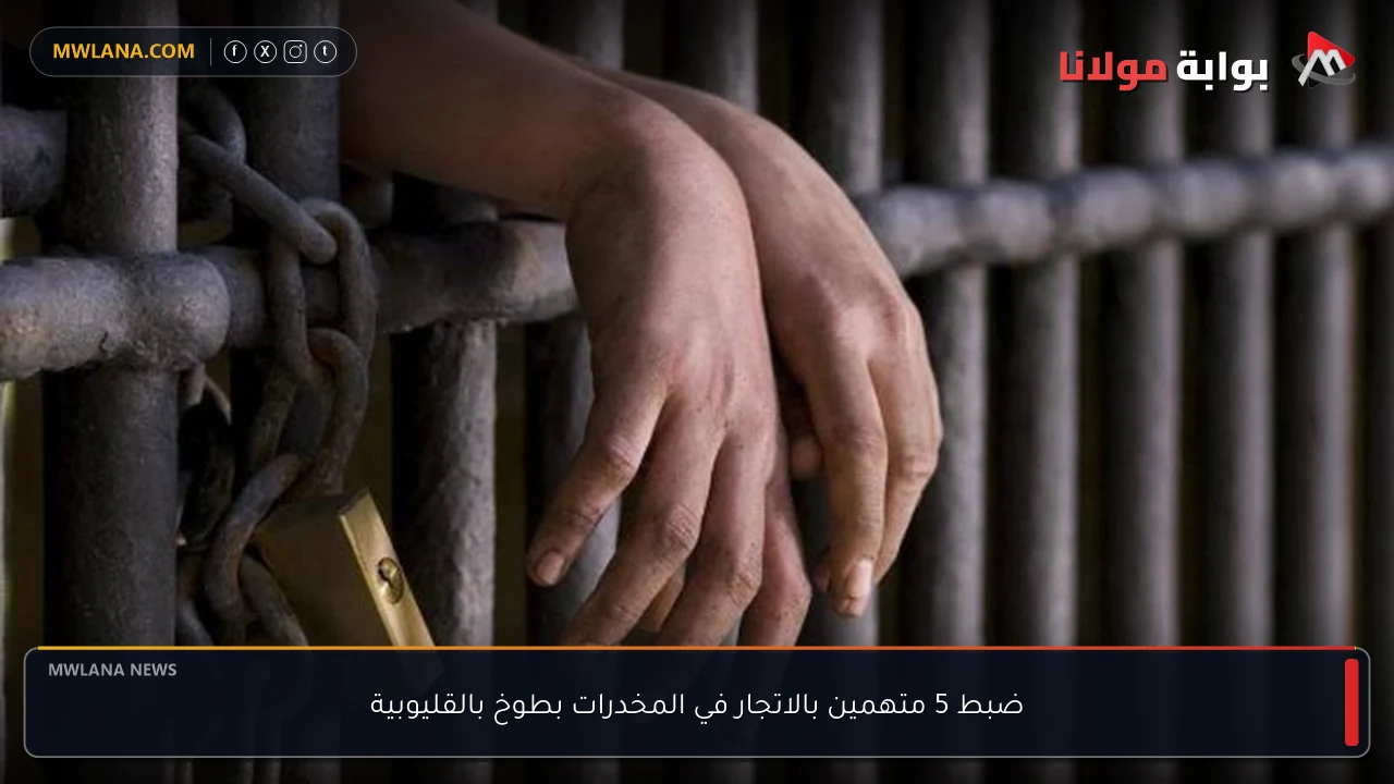 ضبط 5 متهمين بالاتجار في المخدرات بطوخ بالقليوبية