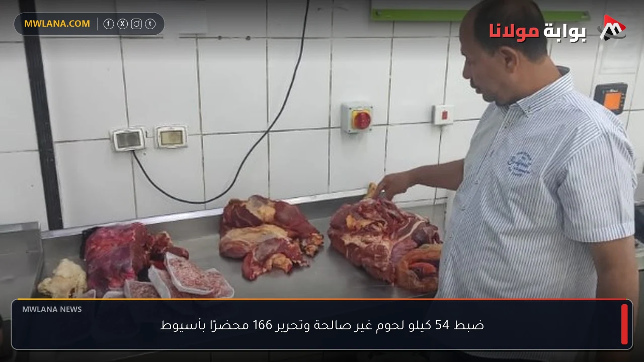 ضبط 54 كيلو لحوم غير صالحة وتحرير 166 محضرًا بأسيوط