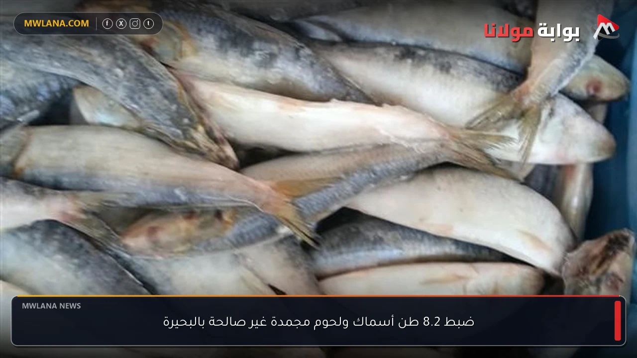 ضبط 8.2 طن أسماك ولحوم مجمدة غير صالحة بالبحيرة