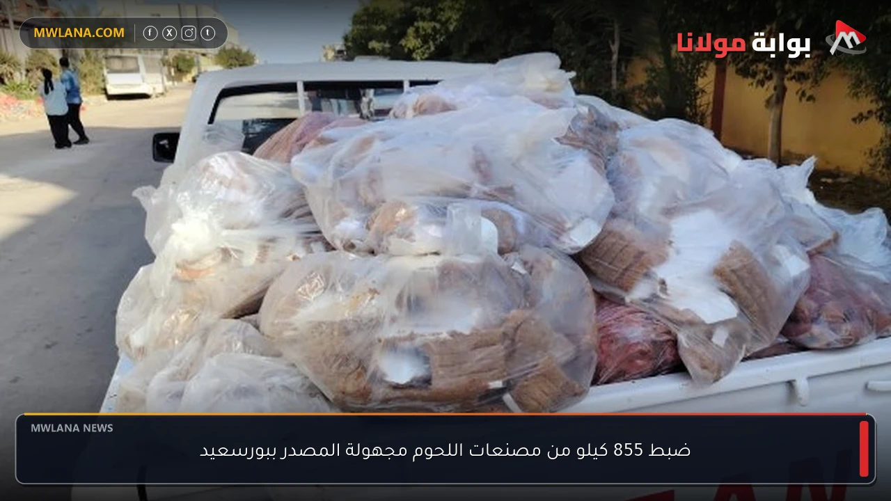 ضبط 855 كيلو من مصنعات اللحوم مجهولة المصدر ببورسعيد