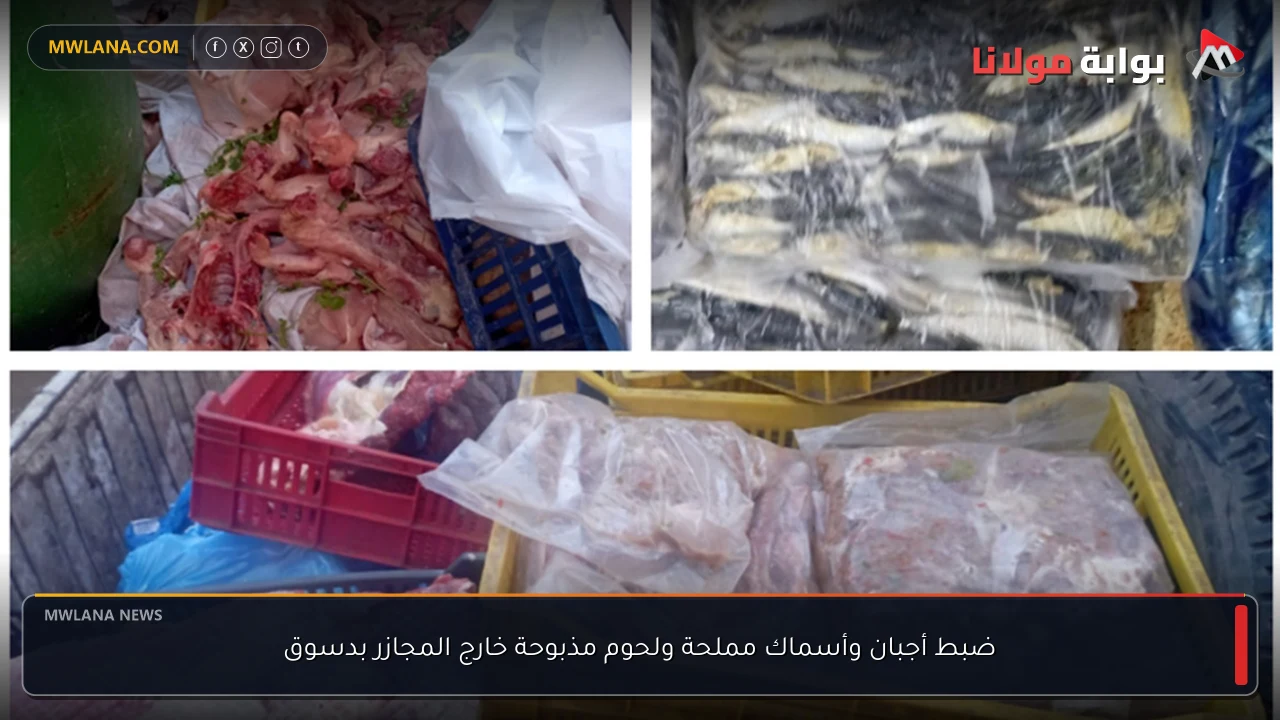 ضبط أجبان وأسماك مملحة ولحوم مذبوحة خارج المجازر بدسوق