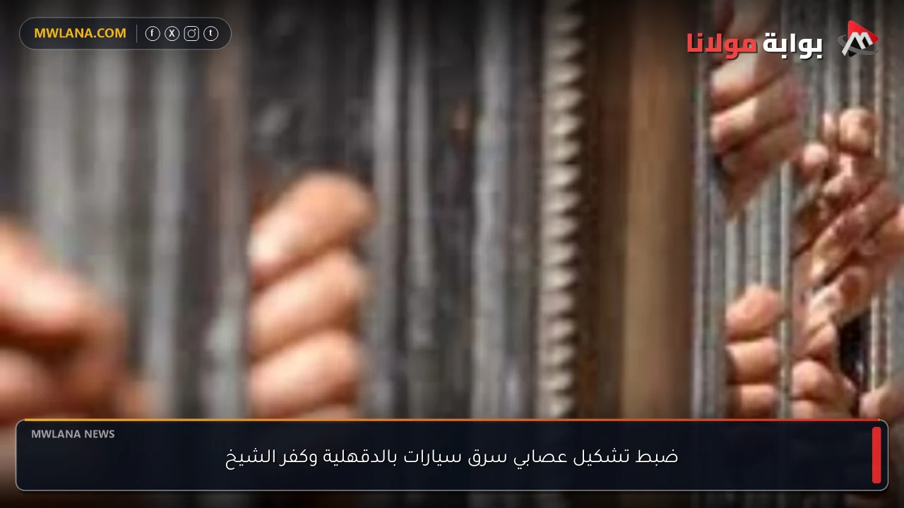 ضبط تشكيل عصابي سرق سيارات بالدقهلية وكفر الشيخ