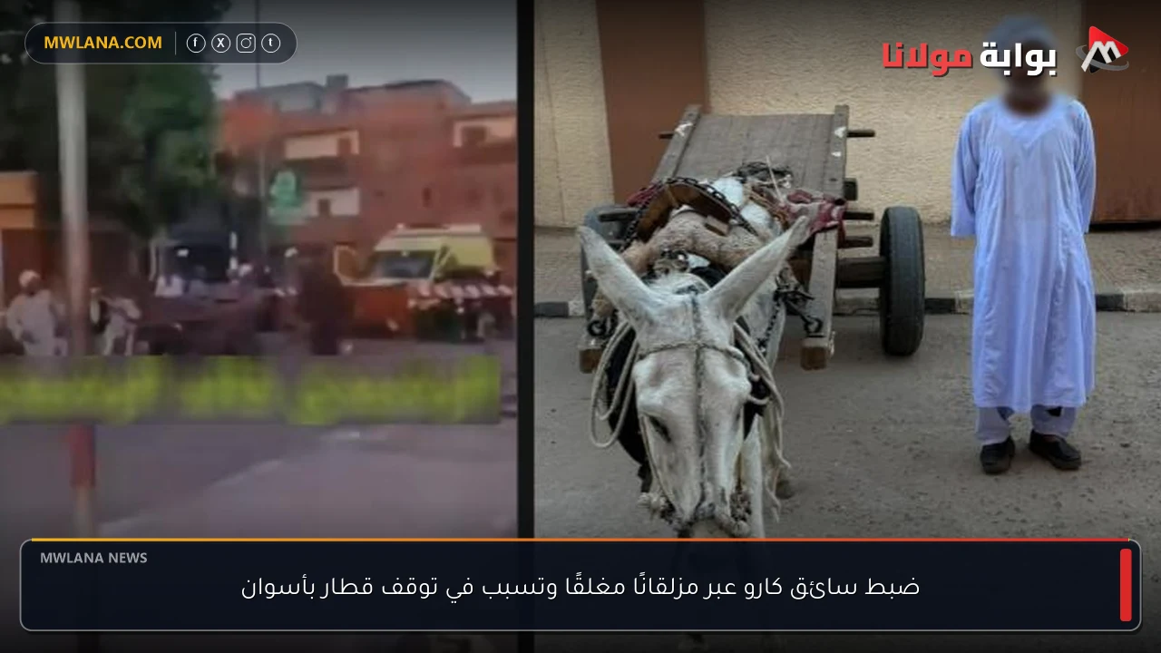 ضبط سائق كارو عبر مزلقانًا مغلقًا وتسبب في توقف قطار بأسوان