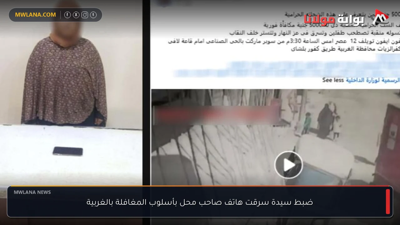ضبط سيدة سرقت هاتف صاحب محل بأسلوب المغافلة بالغربية