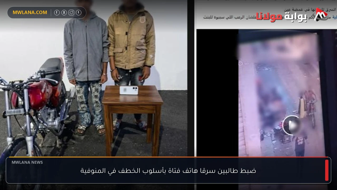 ضبط طالبين سرقا هاتف فتاة بأسلوب الخطف في المنوفية
