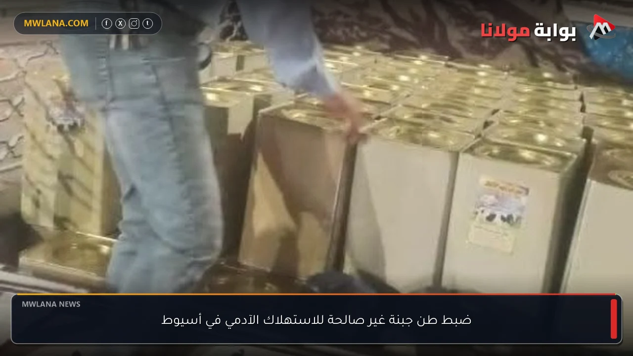 ضبط طن جبنة غير صالحة للاستهلاك الآدمي في أسيوط