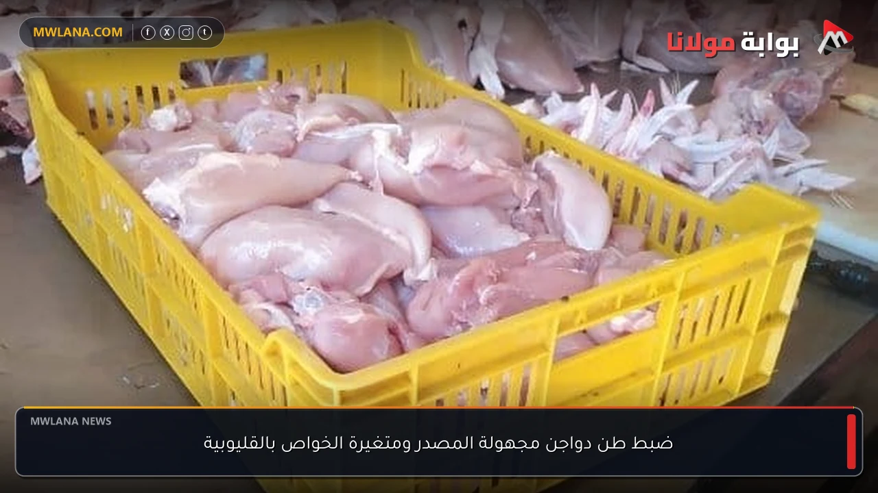 ضبط طن دواجن مجهولة المصدر ومتغيرة الخواص بالقليوبية