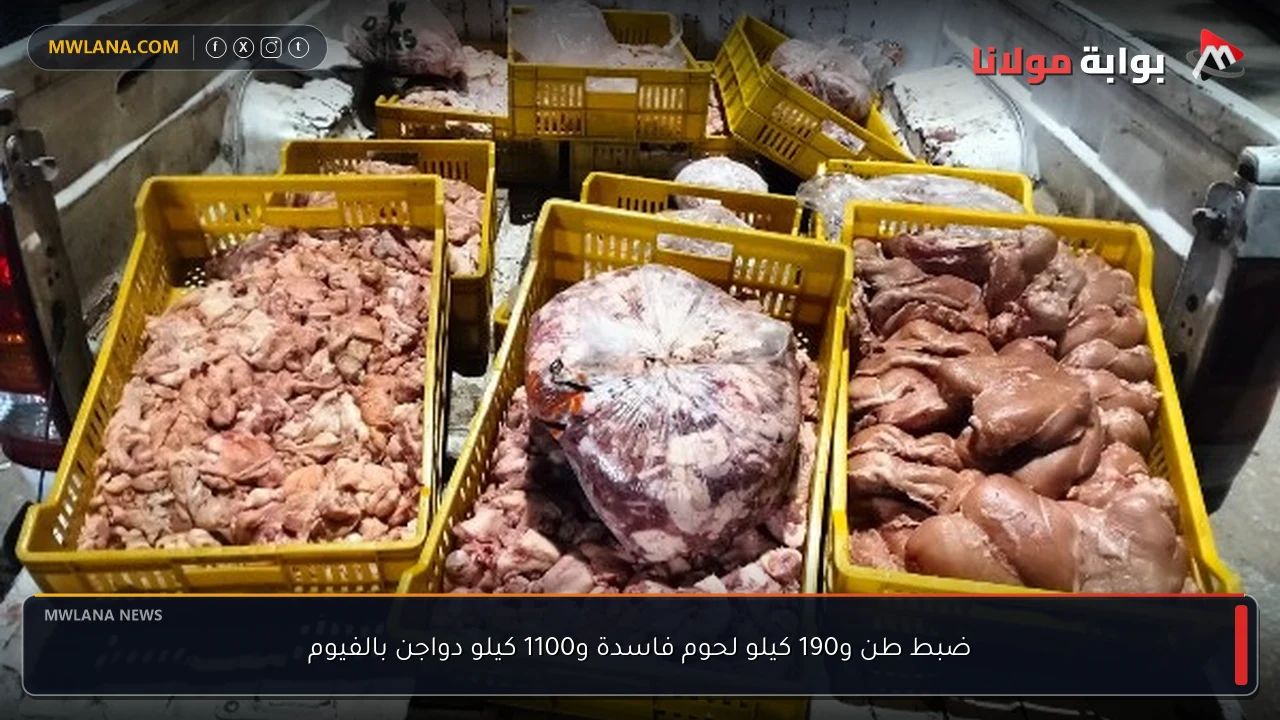 ضبط طن و190 كيلو لحوم فاسدة و1100 كيلو دواجن بالفيوم