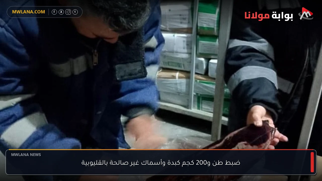ضبط طن و200 كجم كبدة وأسماك غير صالحة بالقليوبية