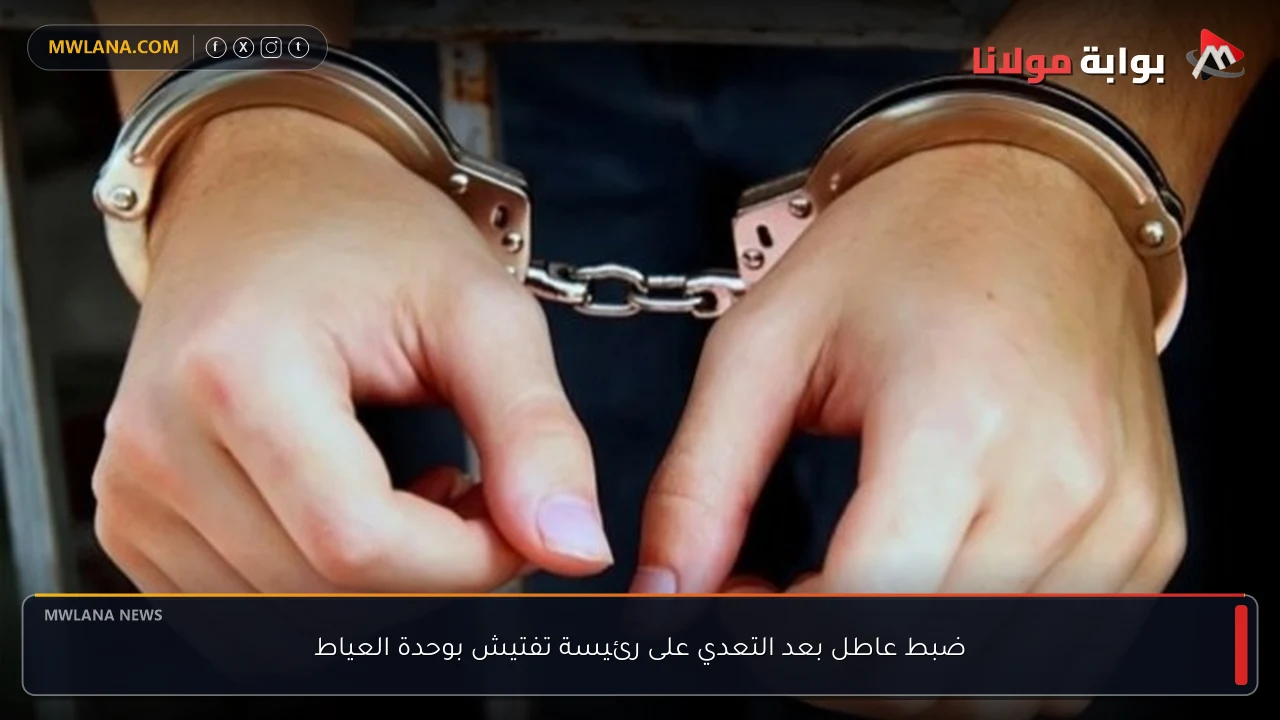 ضبط عاطل بعد التعدي على رئيسة تفتيش بوحدة العياط