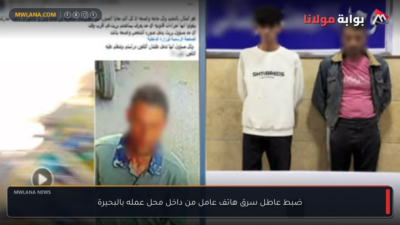 ضبط عاطل سرق هاتف عامل من داخل محل عمله بالبحيرة