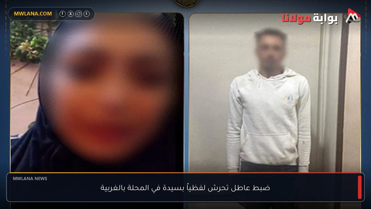 ضبط عاطل تحرش لفظياً بسيدة في المحلة بالغربية