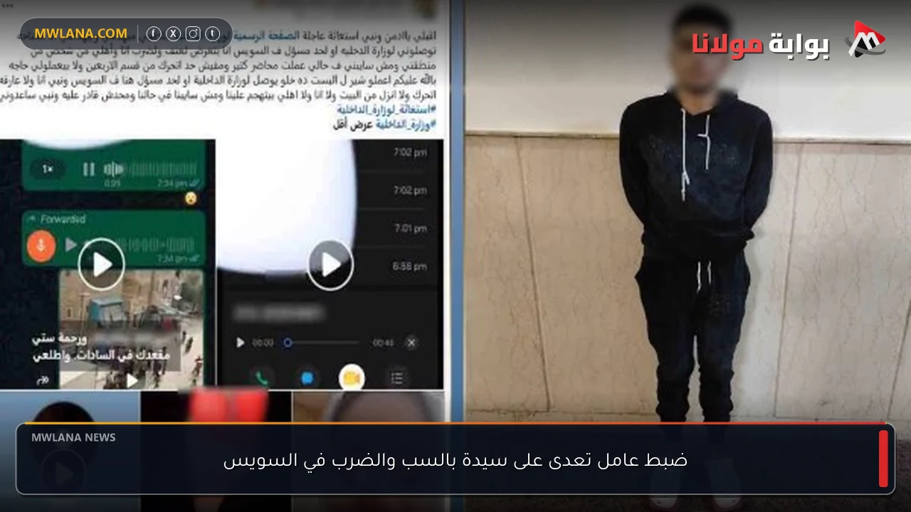 ضبط عامل تعدى على سيدة بالسب والضرب في السويس