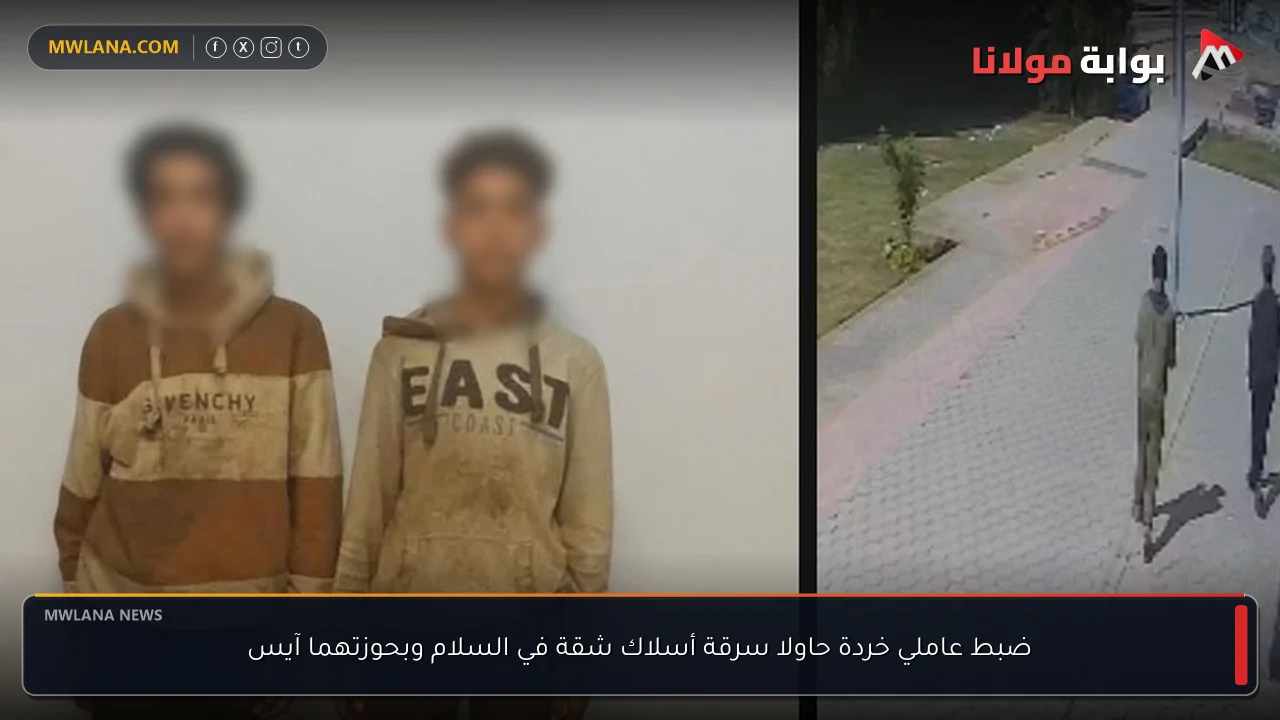 ضبط عاملي خردة حاولا سرقة أسلاك شقة في السلام وبحوزتهما آيس