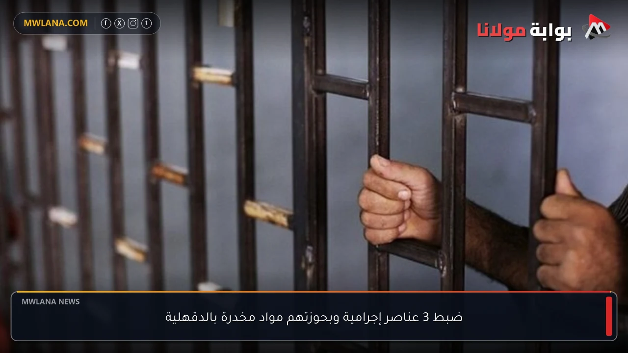 ضبط 3 عناصر إجرامية وبحوزتهم مواد مخدرة بالدقهلية