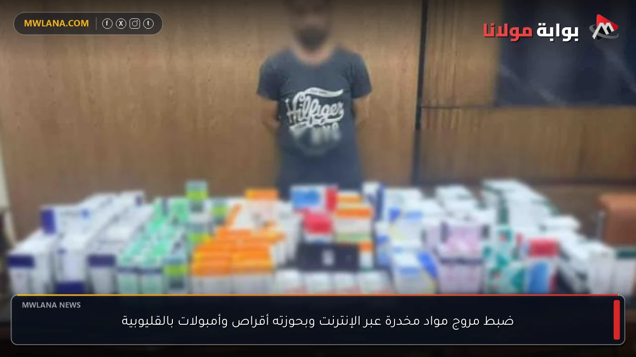 ضبط مروج مواد مخدرة عبر الإنترنت وبحوزته أقراص وأمبولات بالقليوبية
