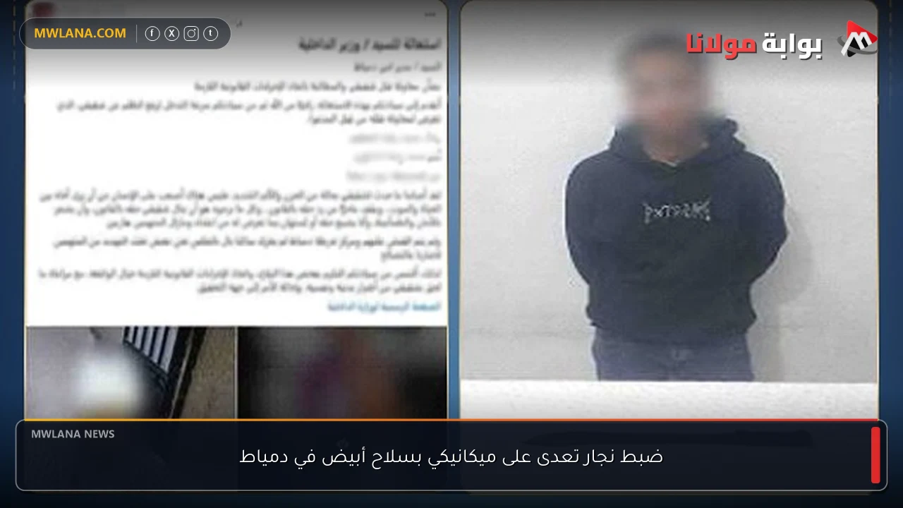 ضبط نجار تعدى على ميكانيكي بسلاح أبيض في دمياط