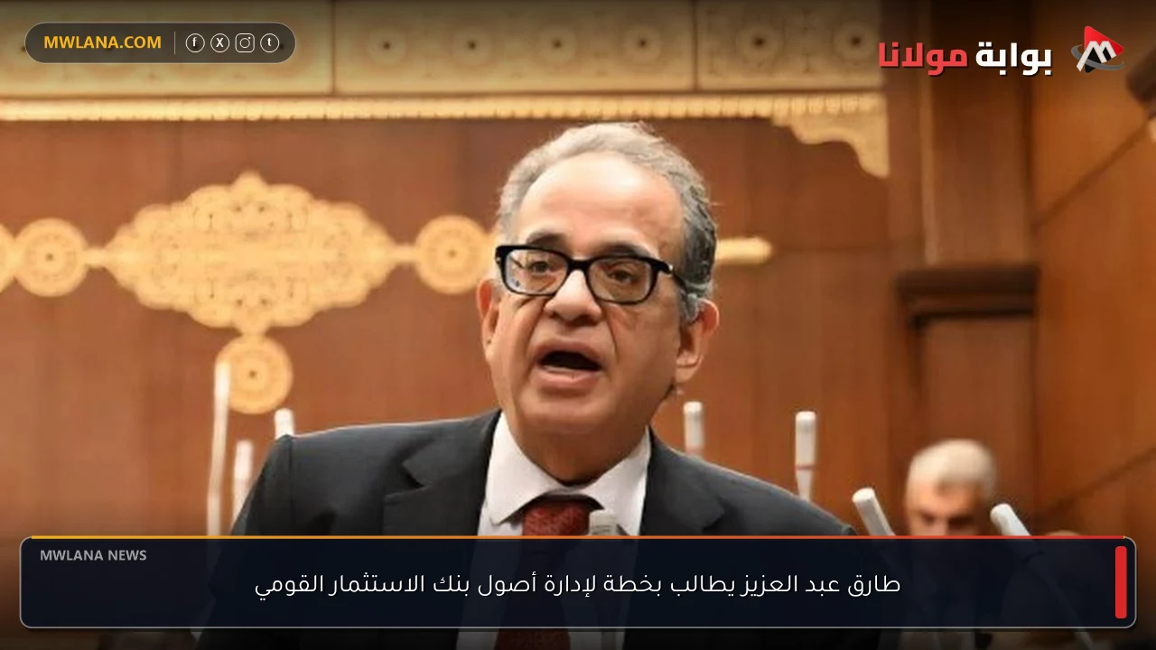 طارق عبد العزيز يطالب بخطة لإدارة أصول بنك الاستثمار القومي
