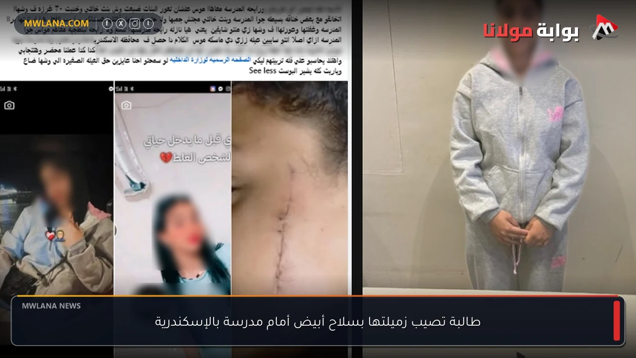 طالبة تصيب زميلتها بسلاح أبيض أمام مدرسة بالإسكندرية