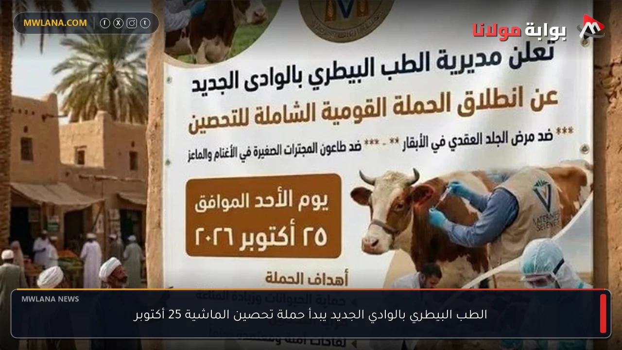 الطب البيطري بالوادي الجديد يبدأ حملة تحصين الماشية 25 أكتوبر