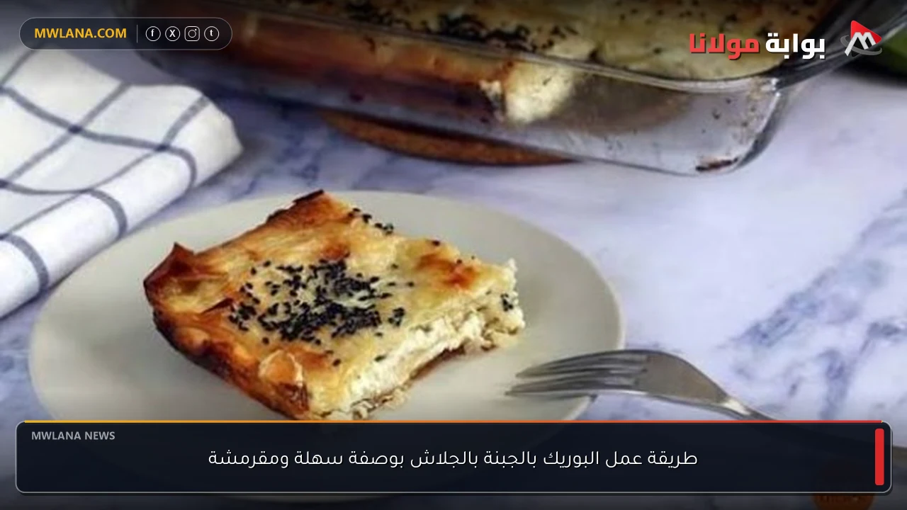 طريقة عمل البوريك بالجبنة بالجلاش بوصفة سهلة ومقرمشة