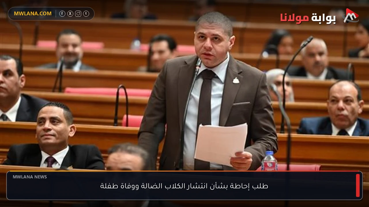 طلب إحاطة بشأن انتشار الكلاب الضالة ووفاة طفلة