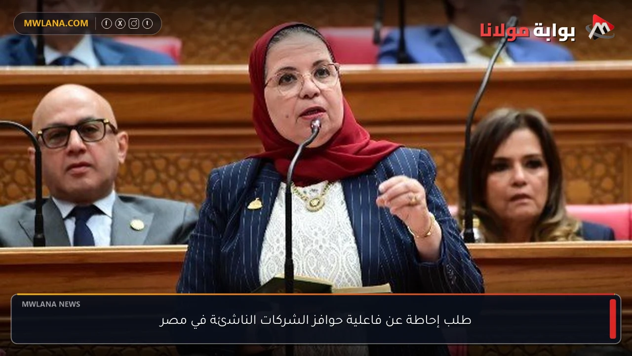 طلب إحاطة عن فاعلية حوافز الشركات الناشئة في مصر
