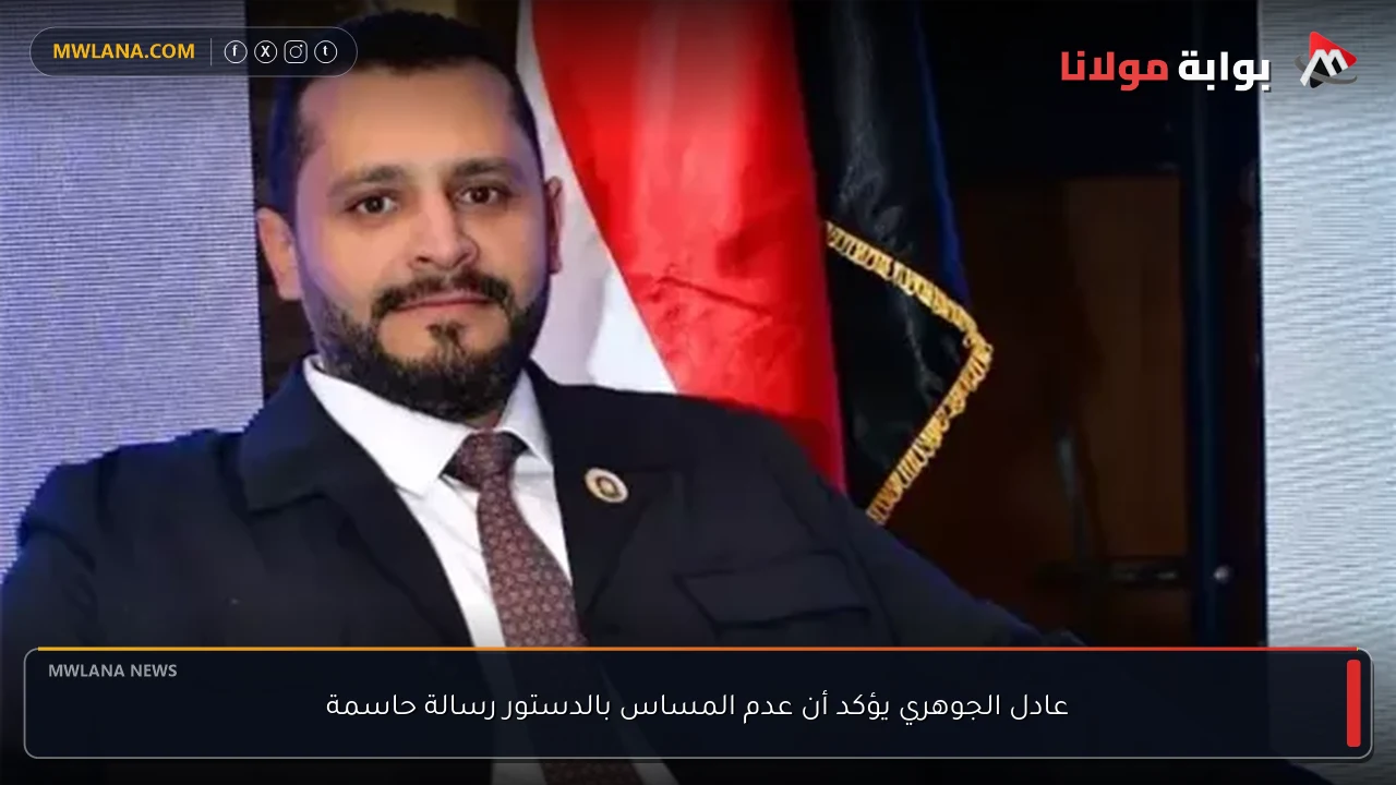 عادل الجوهري يؤكد أن عدم المساس بالدستور رسالة حاسمة