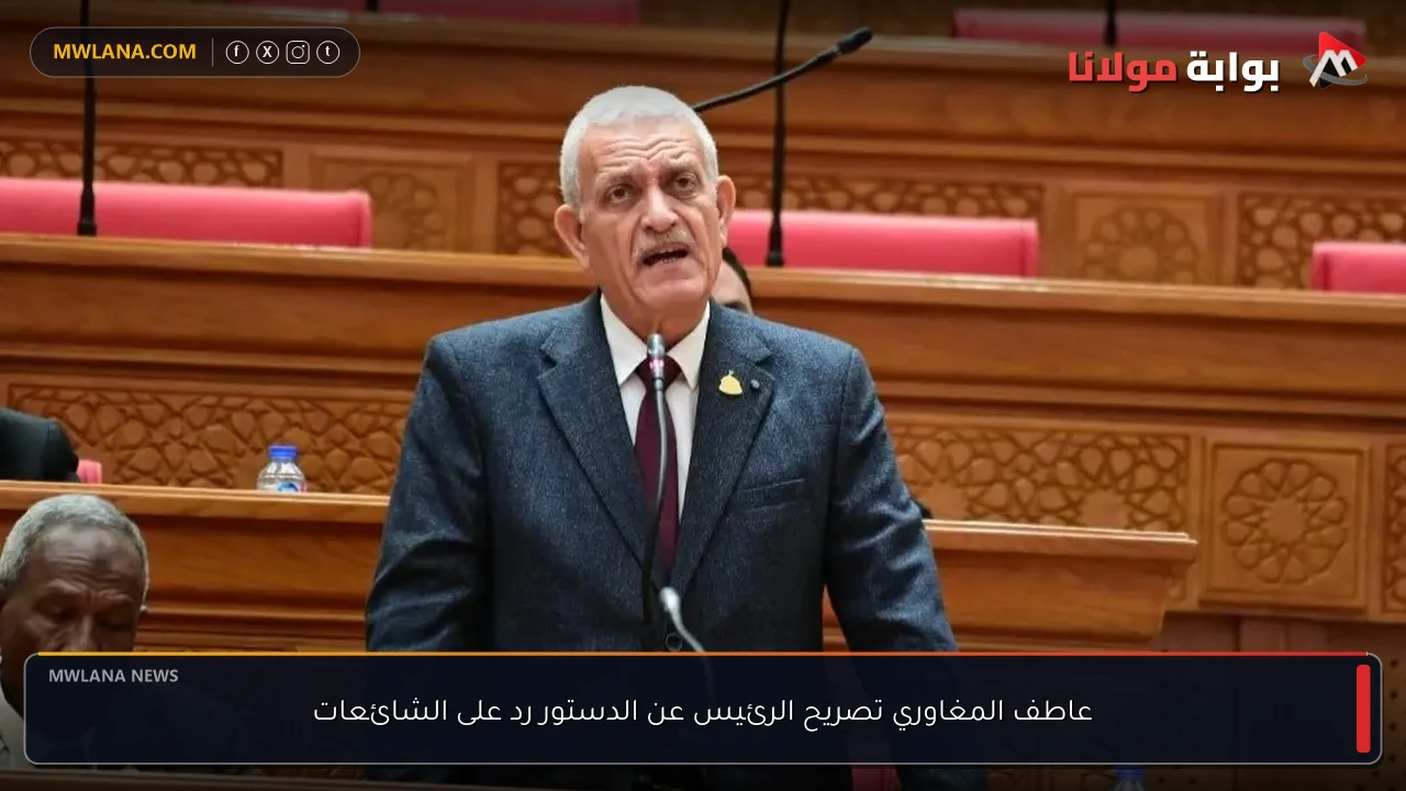 عاطف المغاوري تصريح الرئيس عن الدستور رد على الشائعات