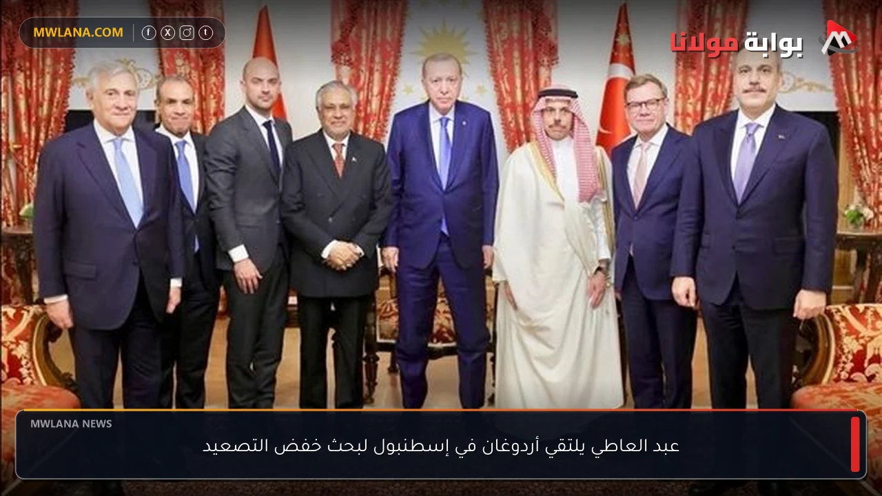 عبد العاطي يلتقي أردوغان في إسطنبول لبحث خفض التصعيد